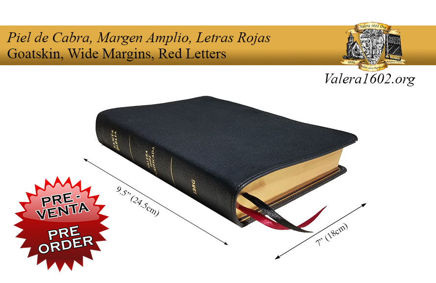 Margen Amplio (Cabra) / Wide Margin (Goatskin) 10Valera