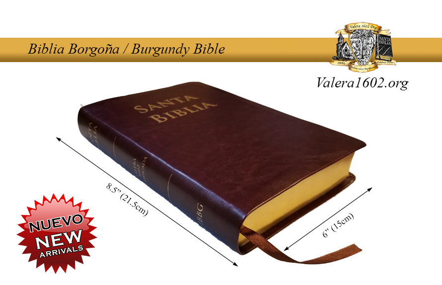Biblia Borgoña / Burgundy Bible 13Valera