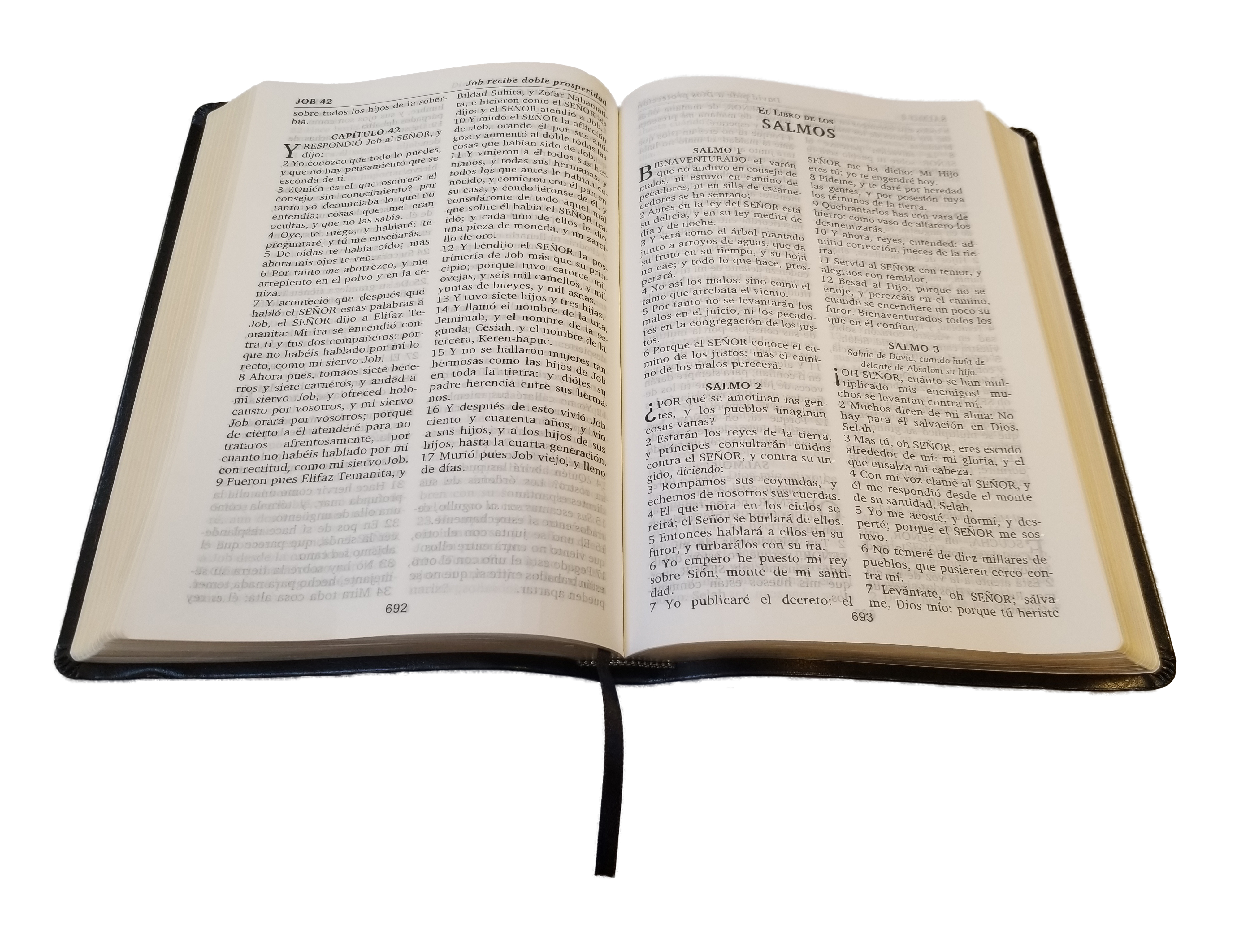 Biblia Borgoña / Burgundy Bible