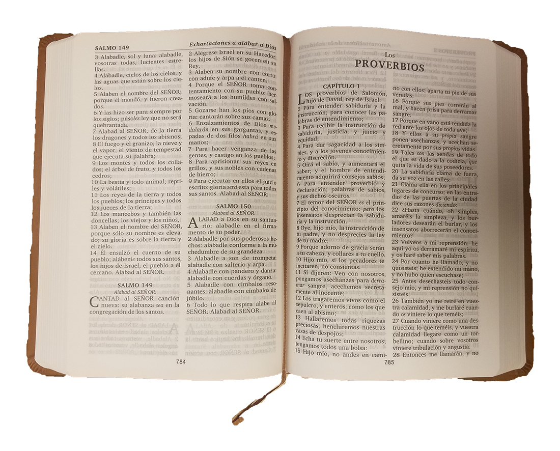Biblia Café / Brown Bible