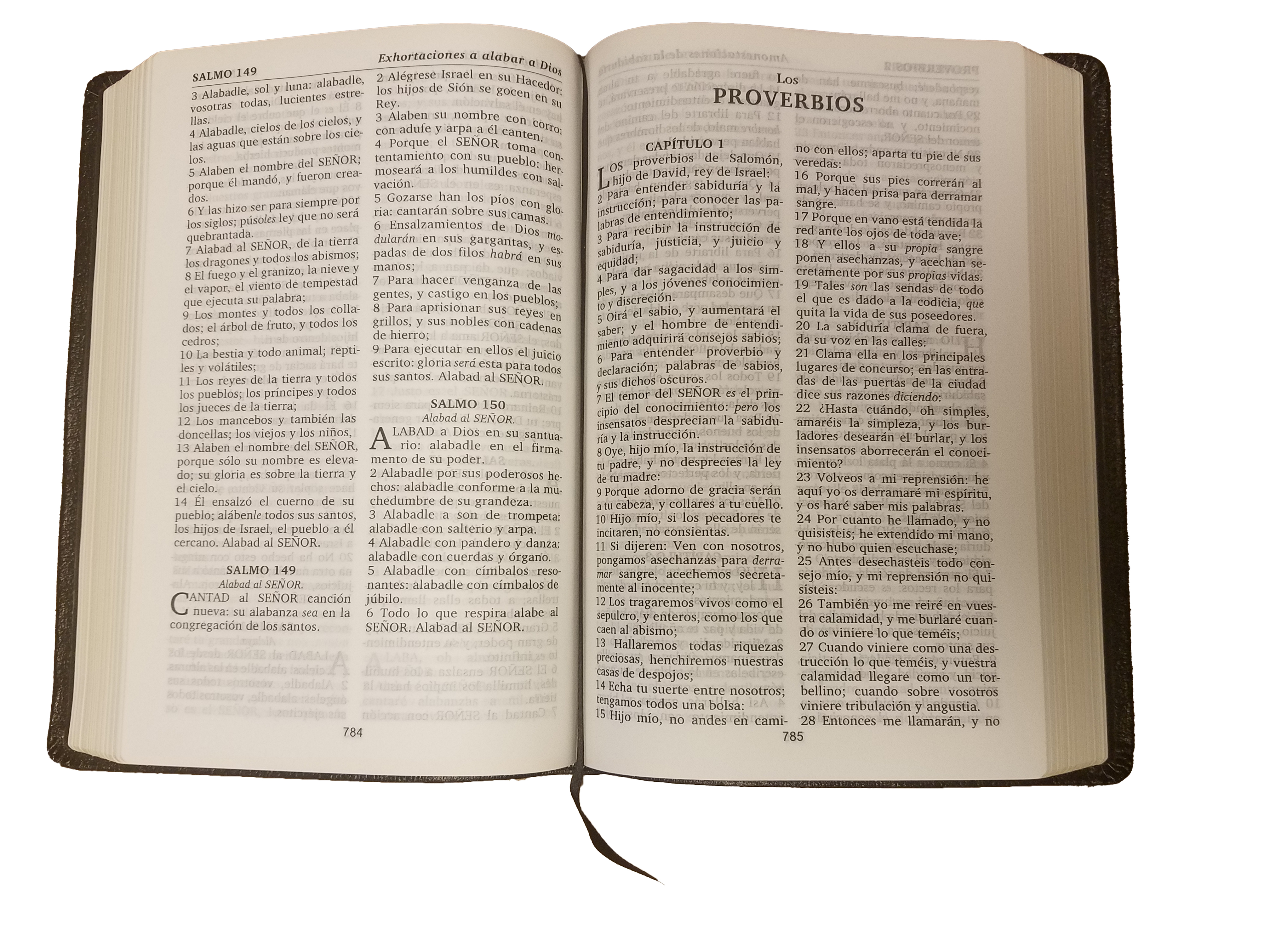 Biblia de Cuero / Leather Bible