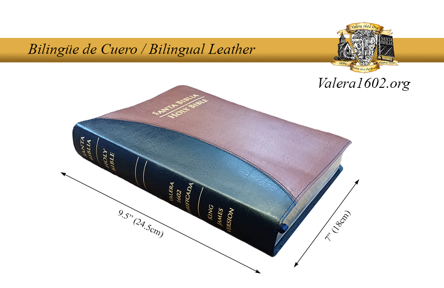 Bilingüe Cuero / Bilingual Leather 01Valera