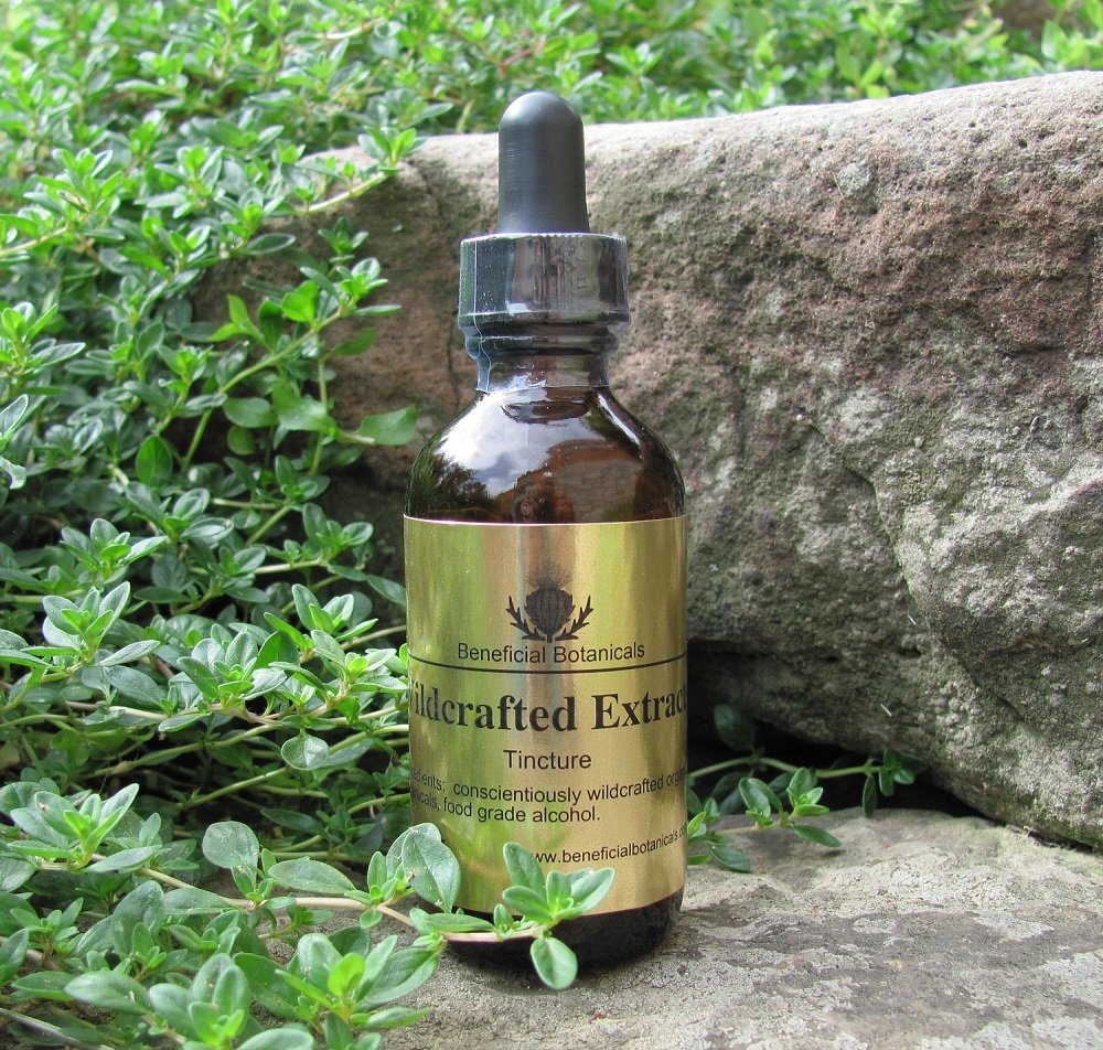 Gumweed Tincture T-GW-F