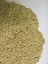 Lion's Mane (Cultivated) Powder P-LIONMcul-M