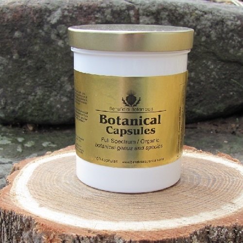 Lomatium Root Capsules C-LOMA-R