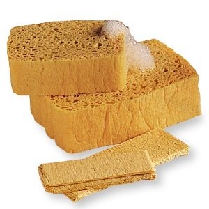 PopUp Sponge - 2 Pack WBN-PUpSponge2
