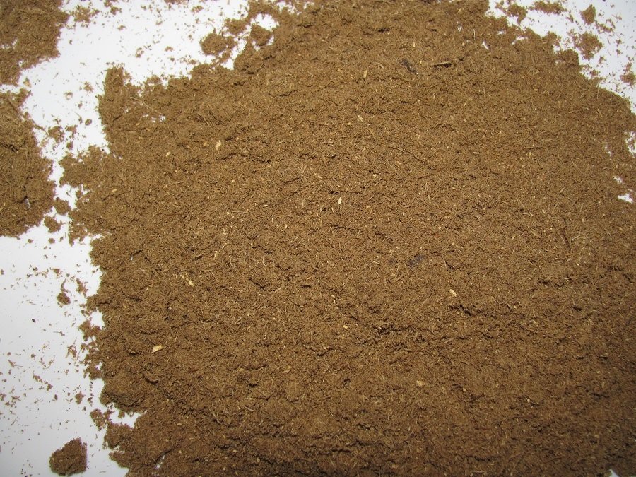 Osha Root Powder Osha Root Powder