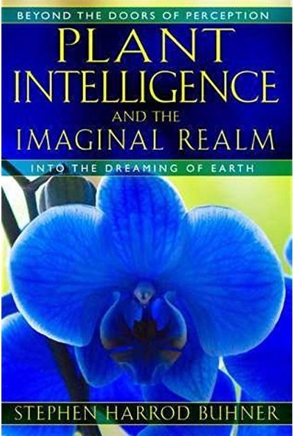 Plant Intelligence and the Imaginal Realm B-PI-Buhner