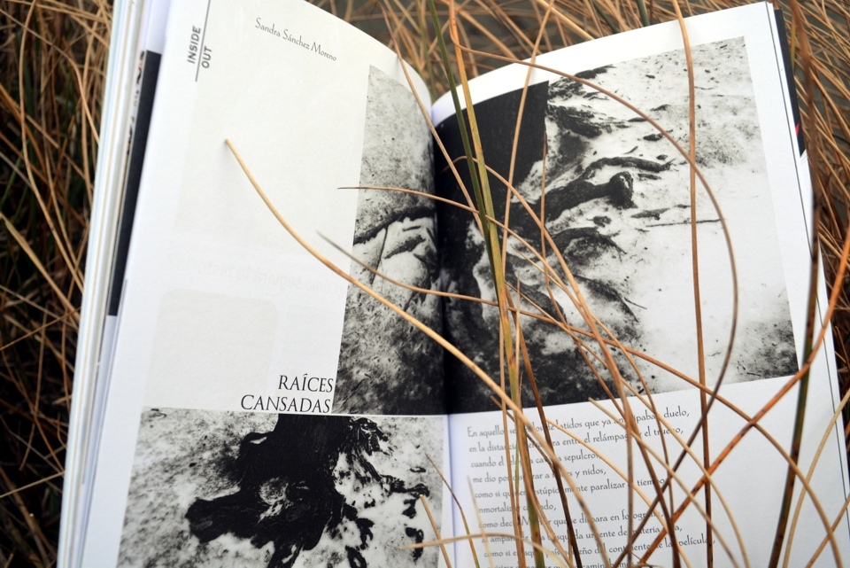 La Tundra - Issue 31 - Efímero & Eterno