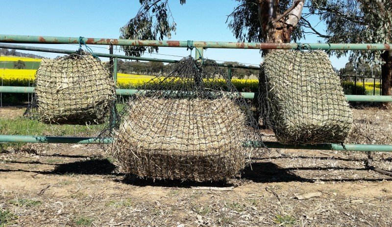 Small, Large and Medium GutzBusta Hay Net