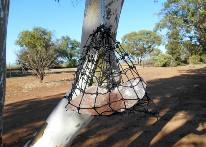 GutzBusta Lick Net WITH Salt GB-LNET <1KG