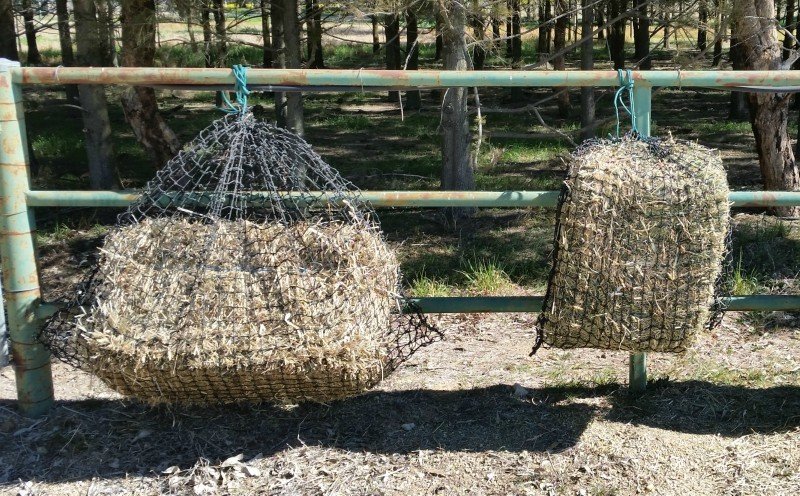 Large and Medium GutzBusta Slow Feed Hay Net