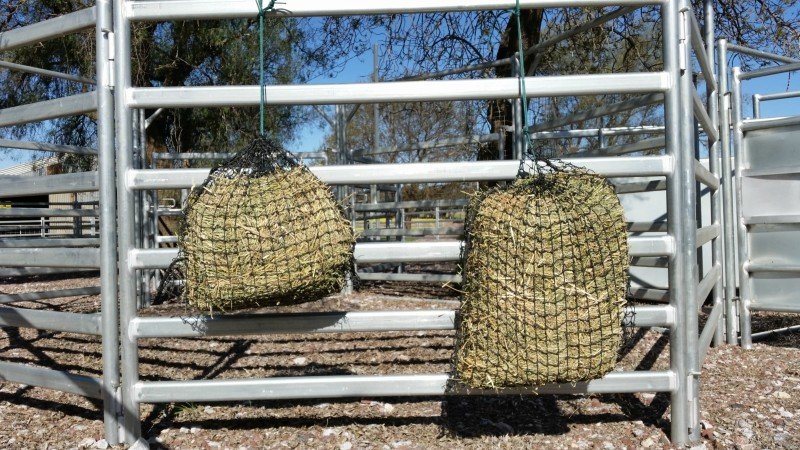 4cm Small and Medium GutzBusta Slow Feed Hay Net