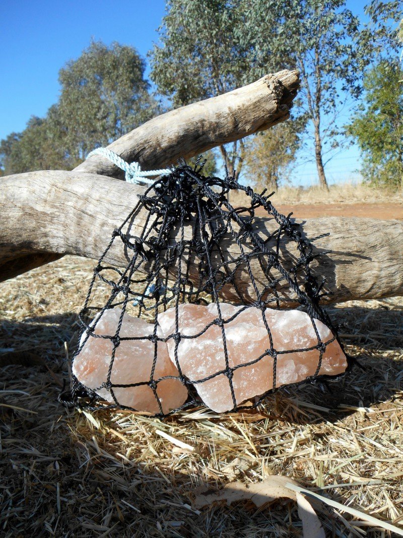 GutzBusta Lick Net WITH Salt