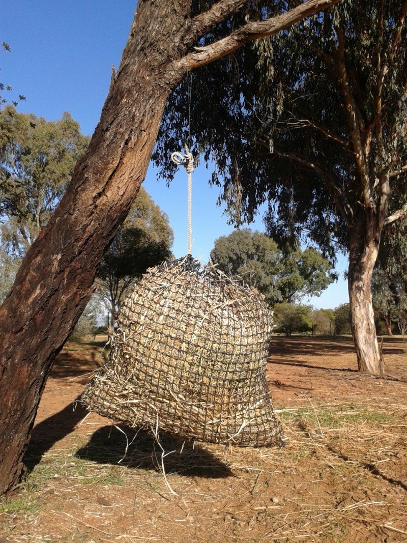 3cm Medium GutzBusta Slow Feed Hay Net