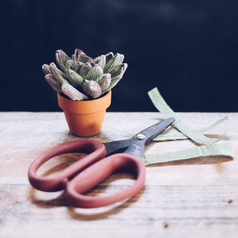 Paper Succulents - March 25 00028