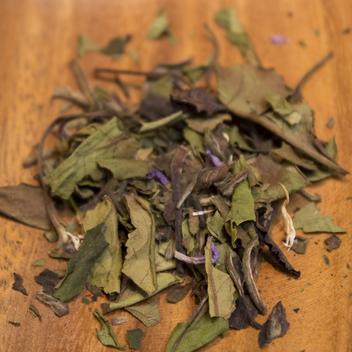 Bergamot Vanilla 00091