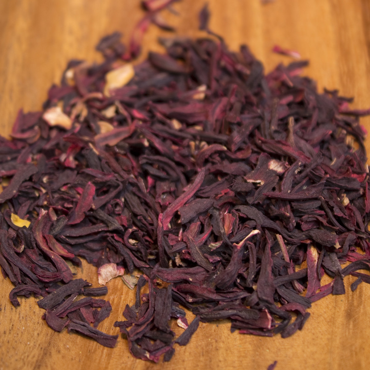 Hibiscus 00130