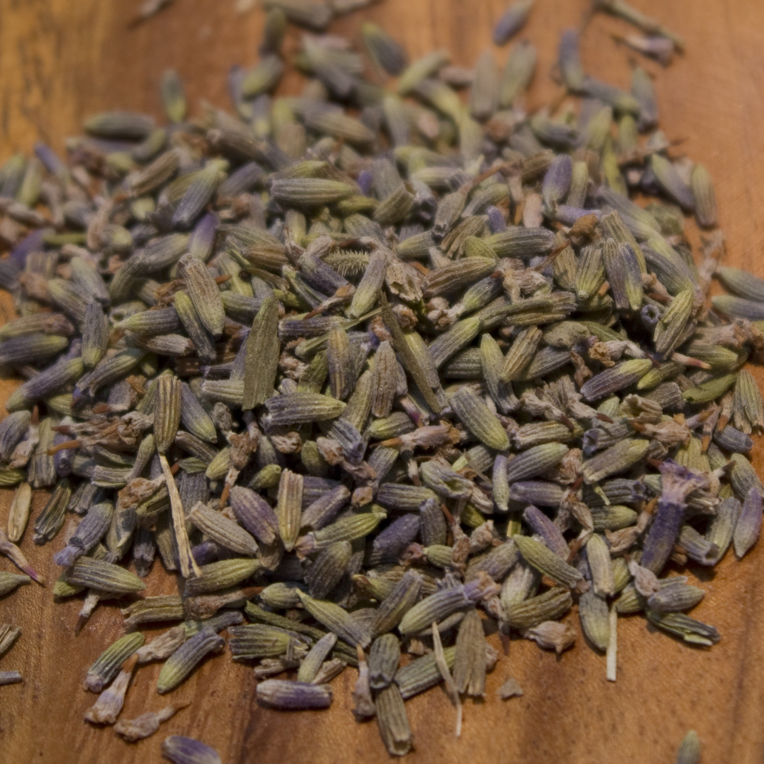 Lavender 00161
