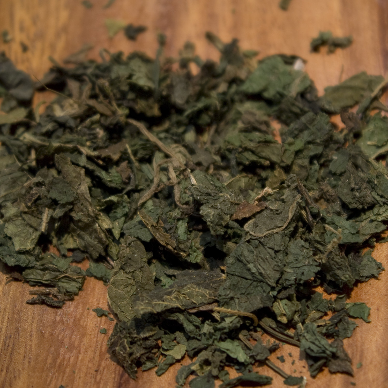 Nettle 00163