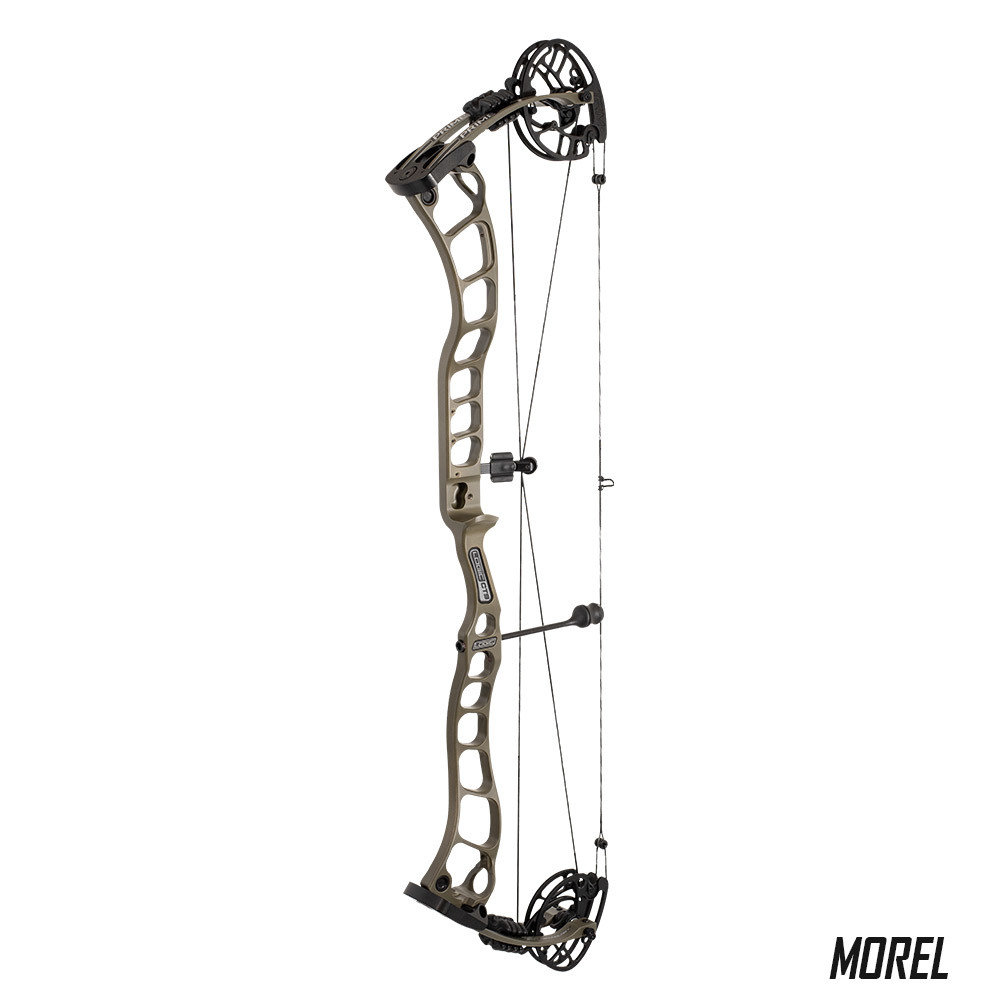 Morel