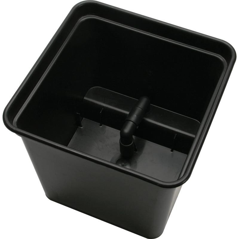 Dutch Bato 9 Pot