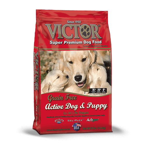 Victor Grain Free Active Dog/Puppy 30lb 013-024-15