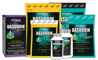 Dasuquin Nutramax хондропротекторы