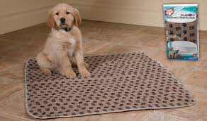 Simple Solution Washable Training & Travel Pad. Впитывающие пеленки многоразового использования, уп. 2 шт