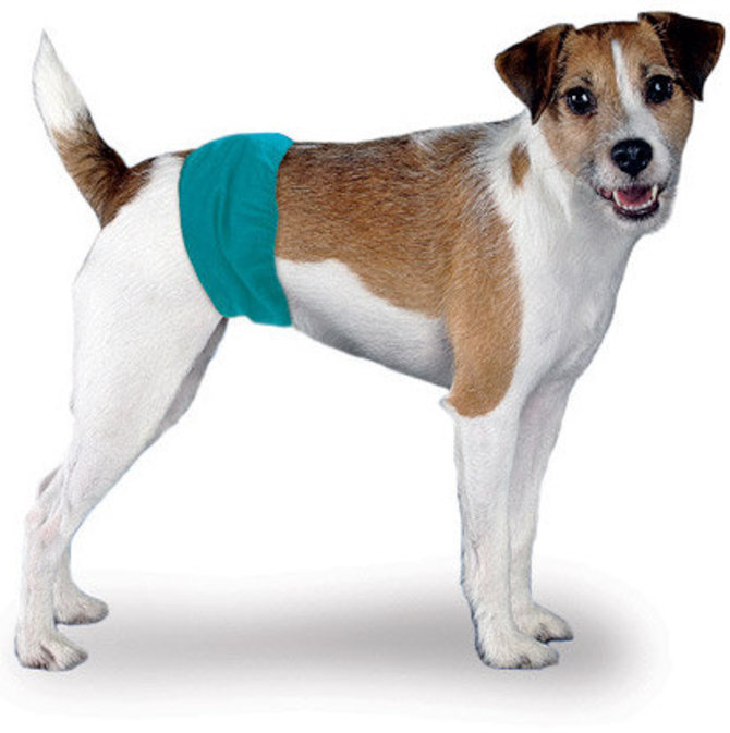 Simple Solution Washable Male Wrap Гигиенический пояс для кобелей многоразового использования.