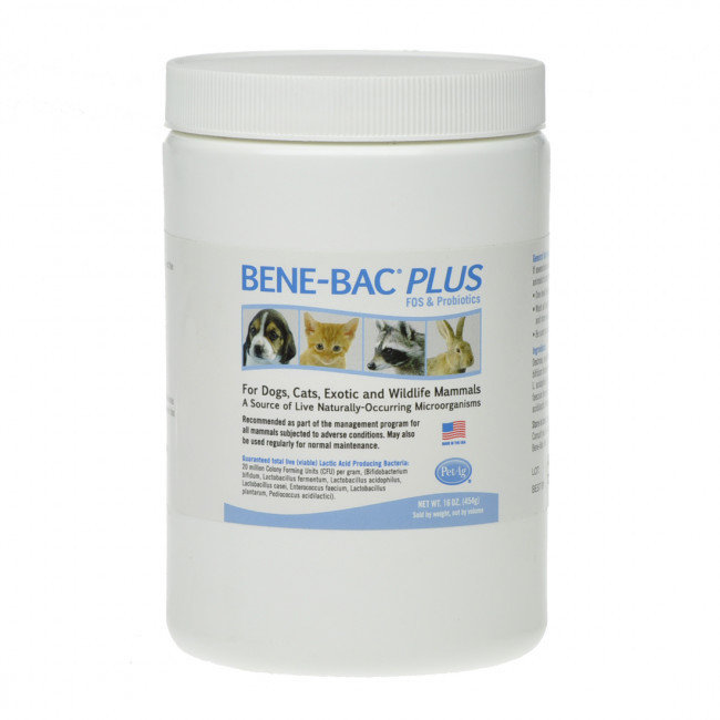 Bene Bac Plus (Бене Бак) порошок 0196 B2.1