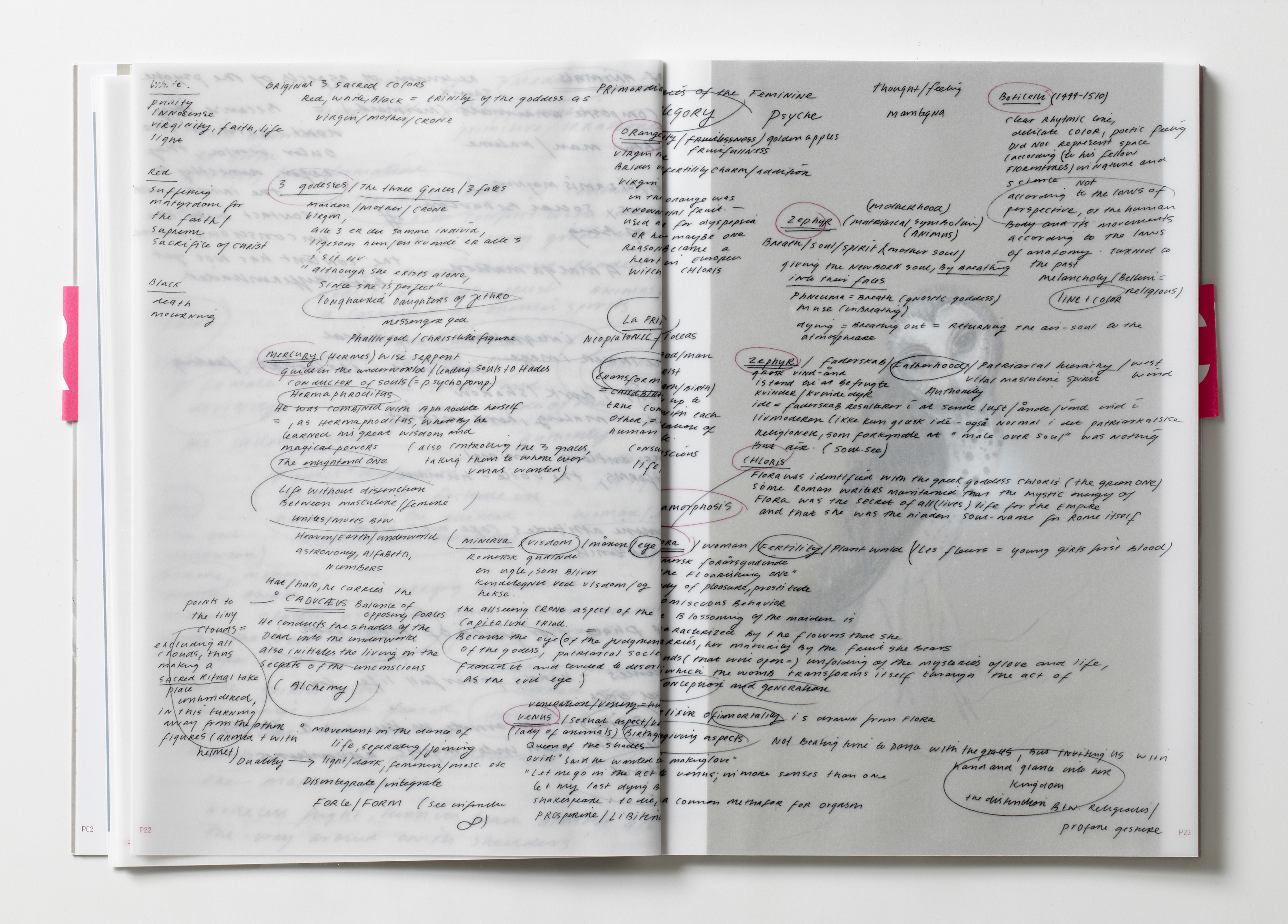Penelopes Web - Book
