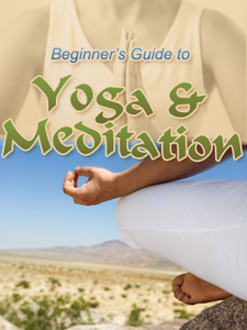 The Beginner's Guide to Yoga & Meditation The Beginner's Guide to Yoga & Meditation