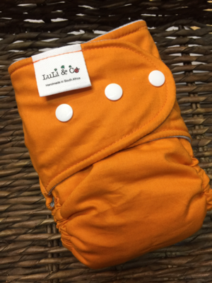 Snap In One-Burnt Orange (One Size) Snap In One-Burnt Orange (One Size)