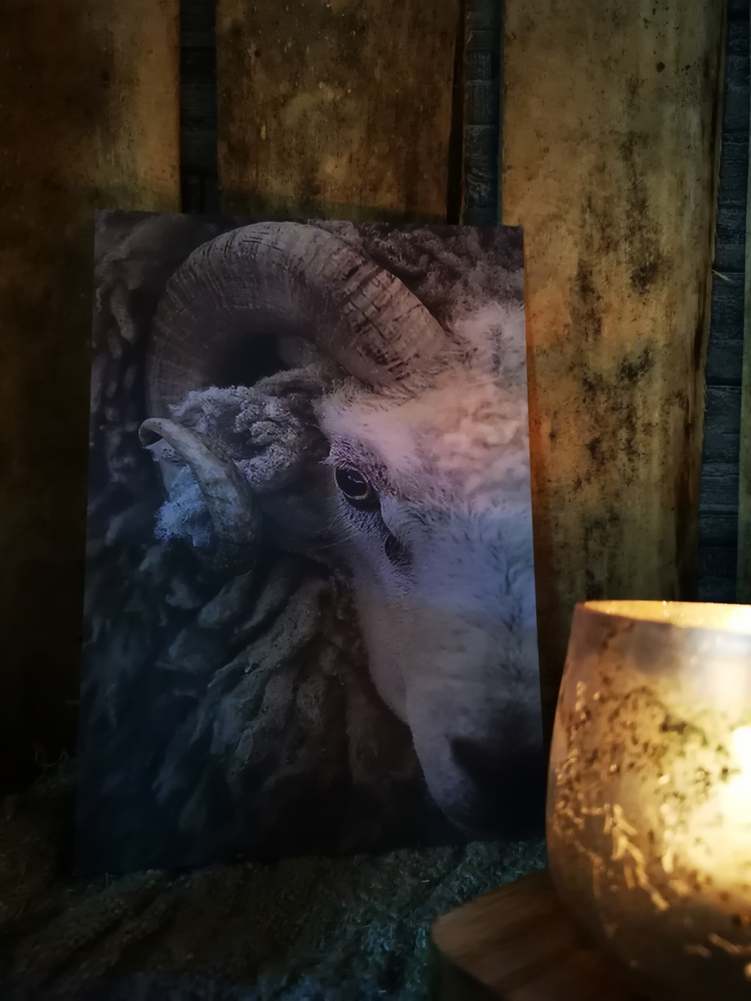 Sobere prent A5 met ram 01814