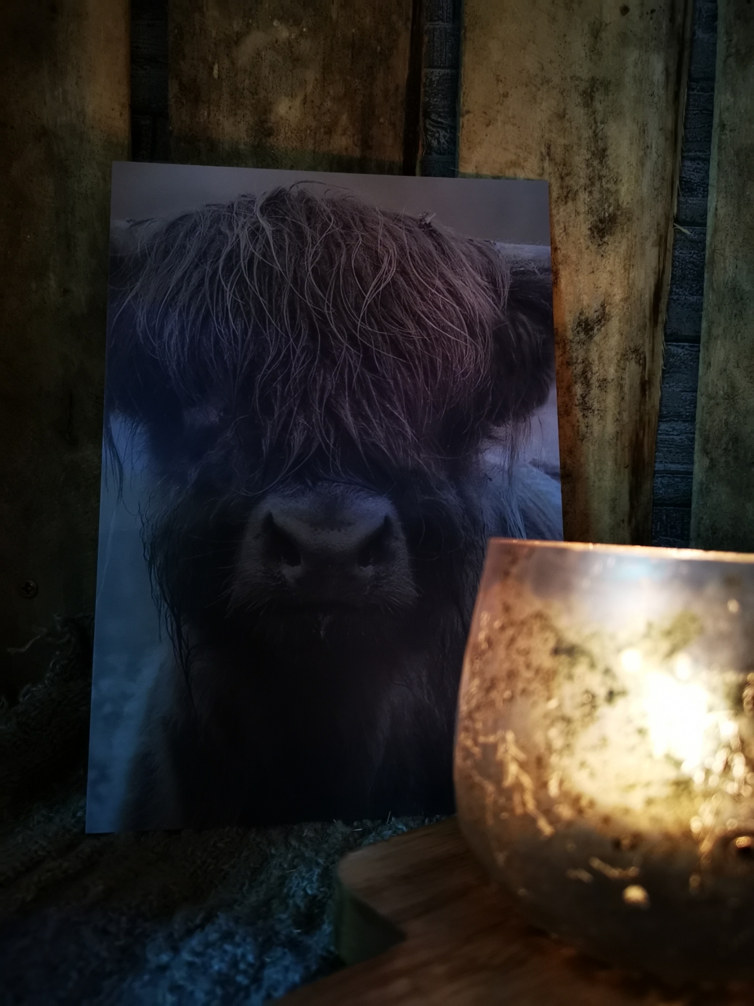 Sobere prent A5 met schotse hooglander 01818