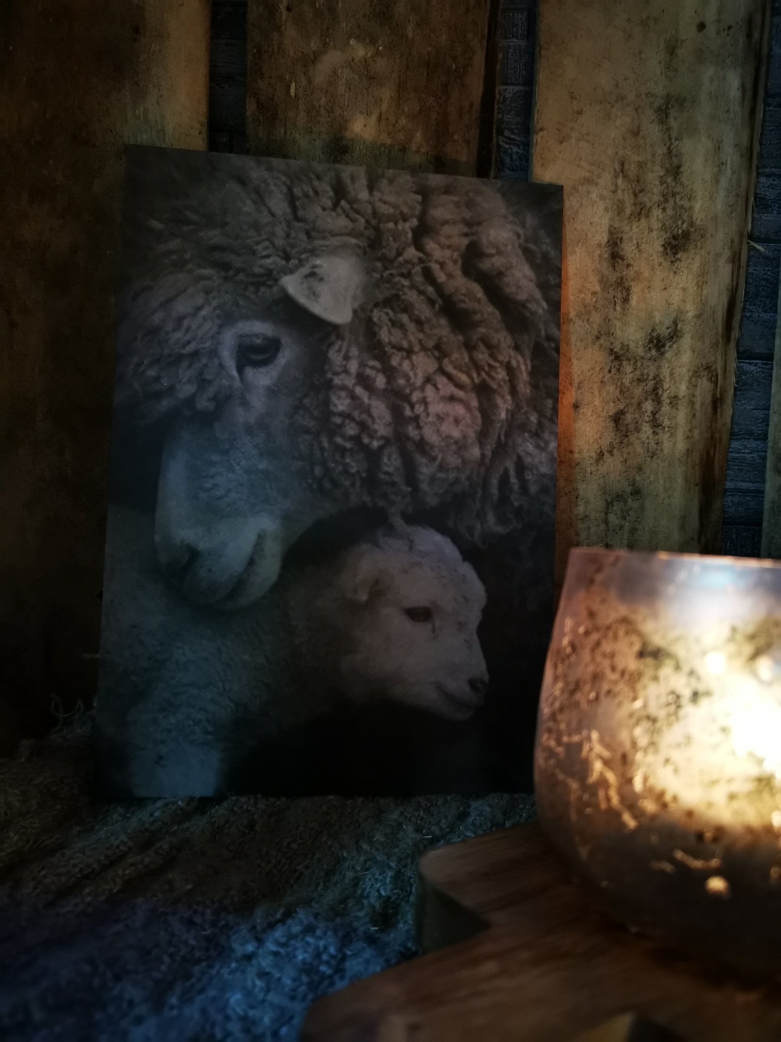 Sobere prent A5 schaap met lam 01815