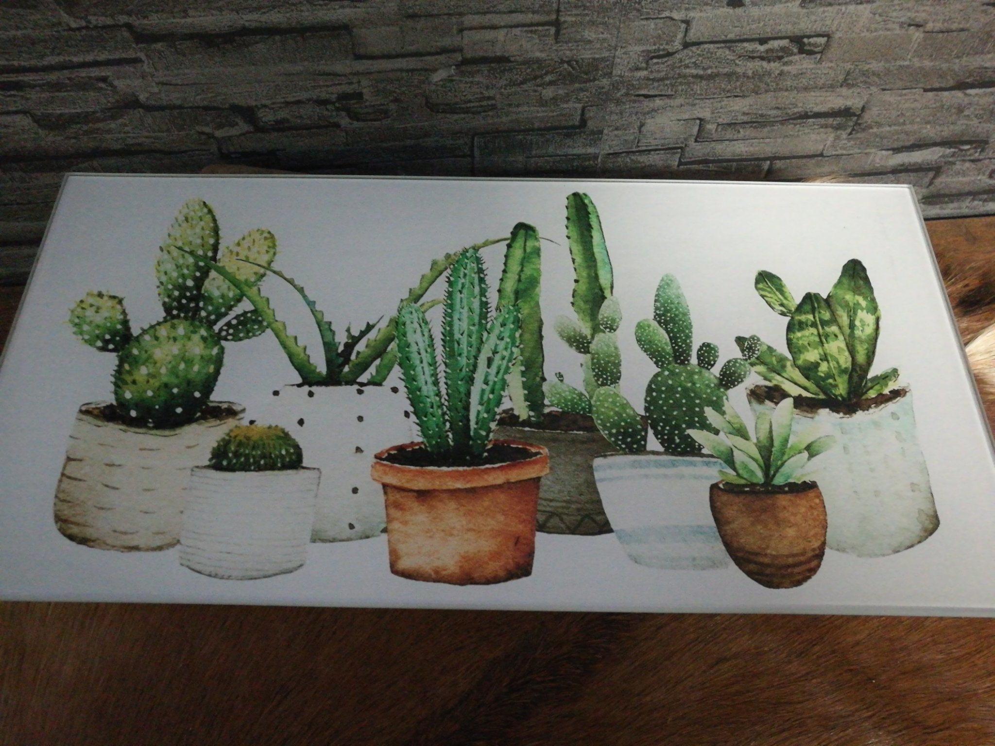Glazenlijst cactussen 01232