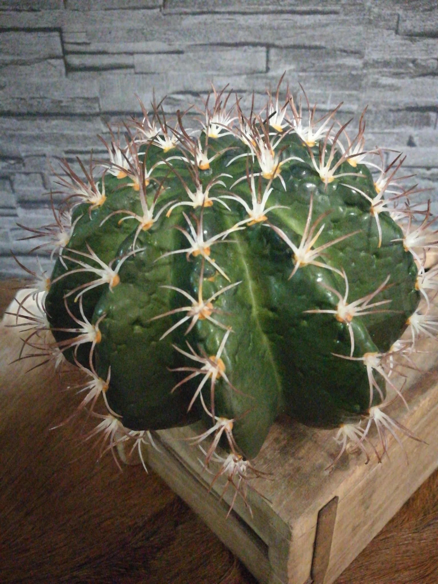 Kunst cactus 18cm 01237