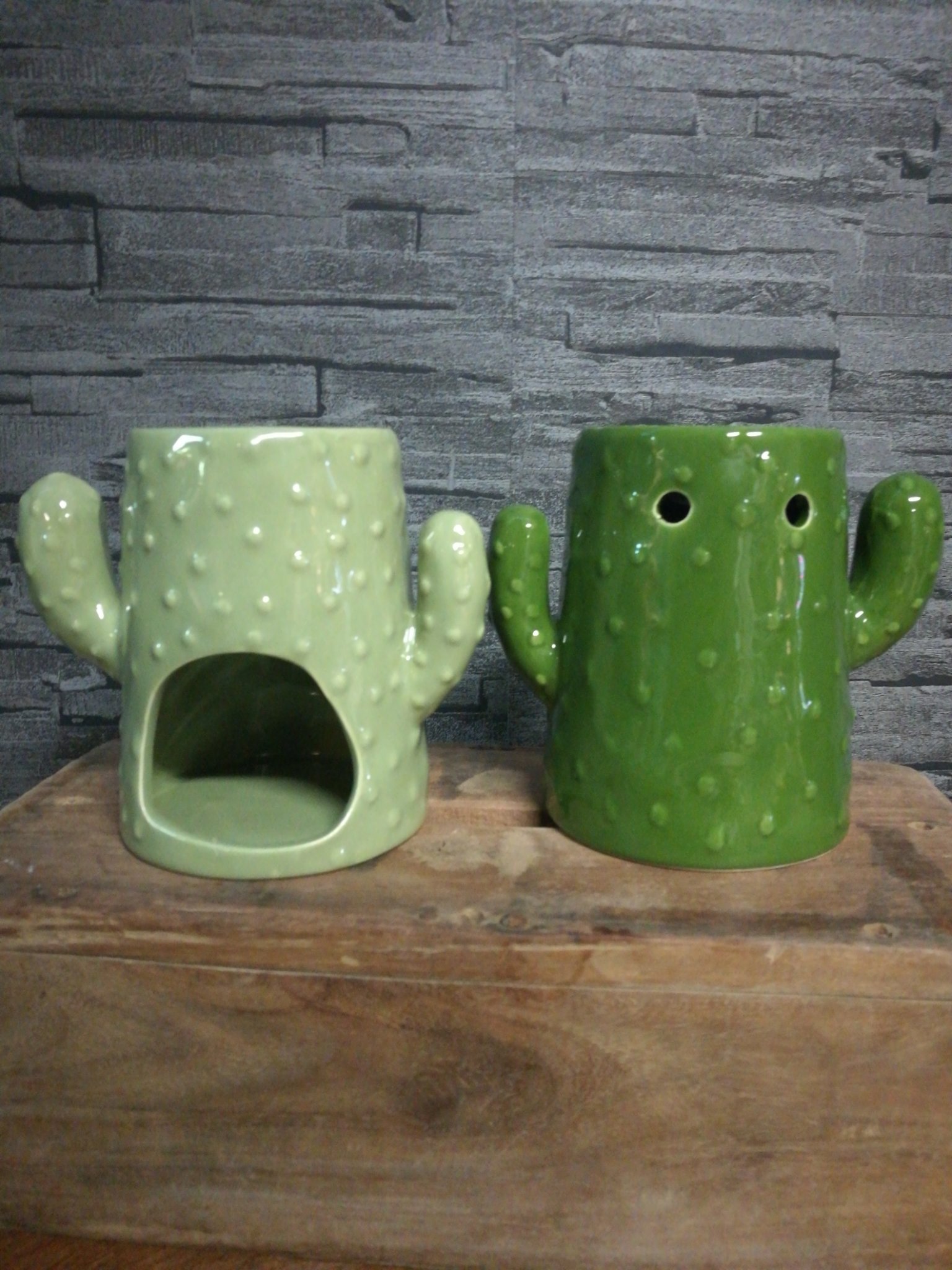 Geurbrander cactus donker groen 01241