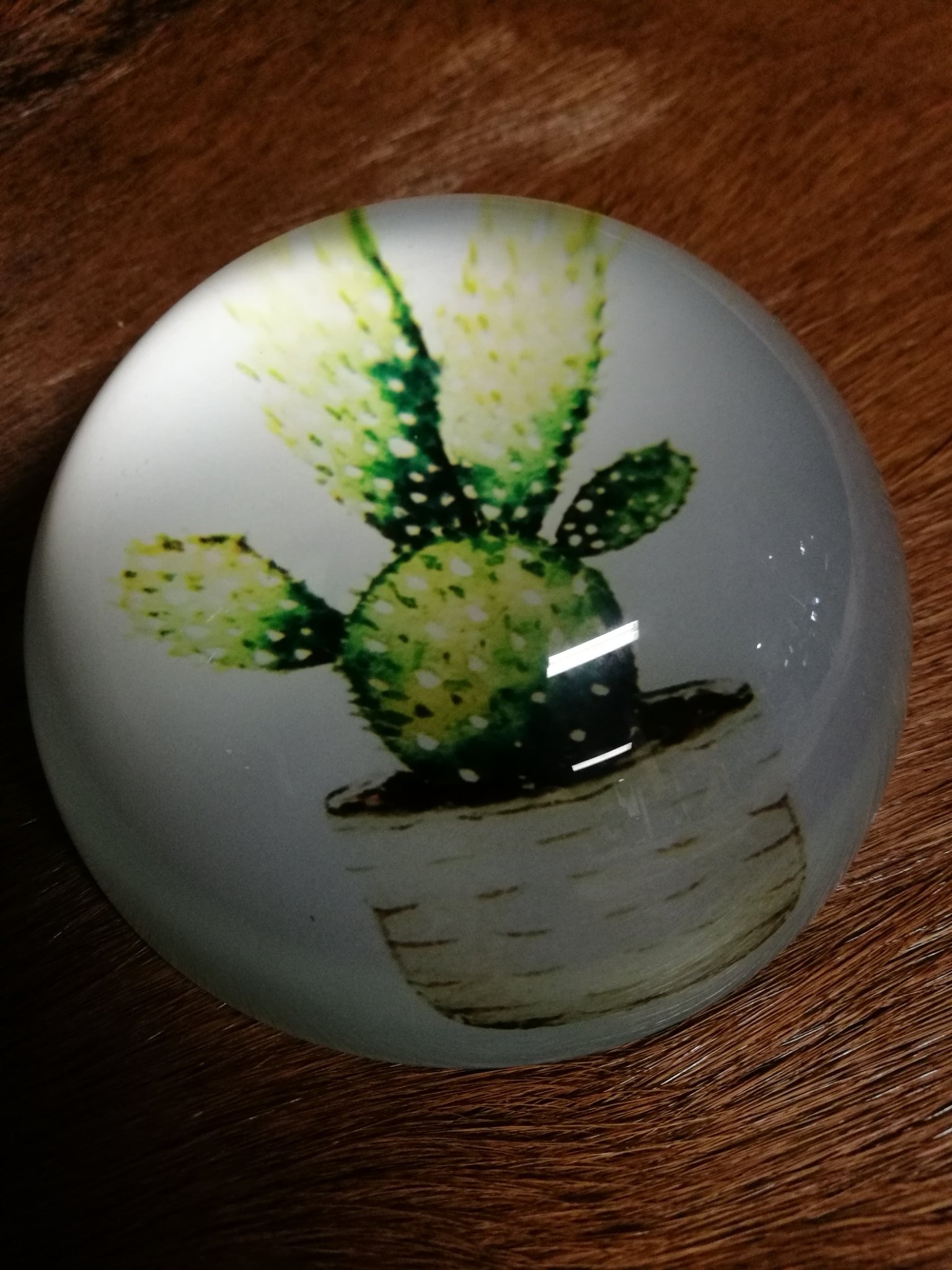 Press papier cactus 01376