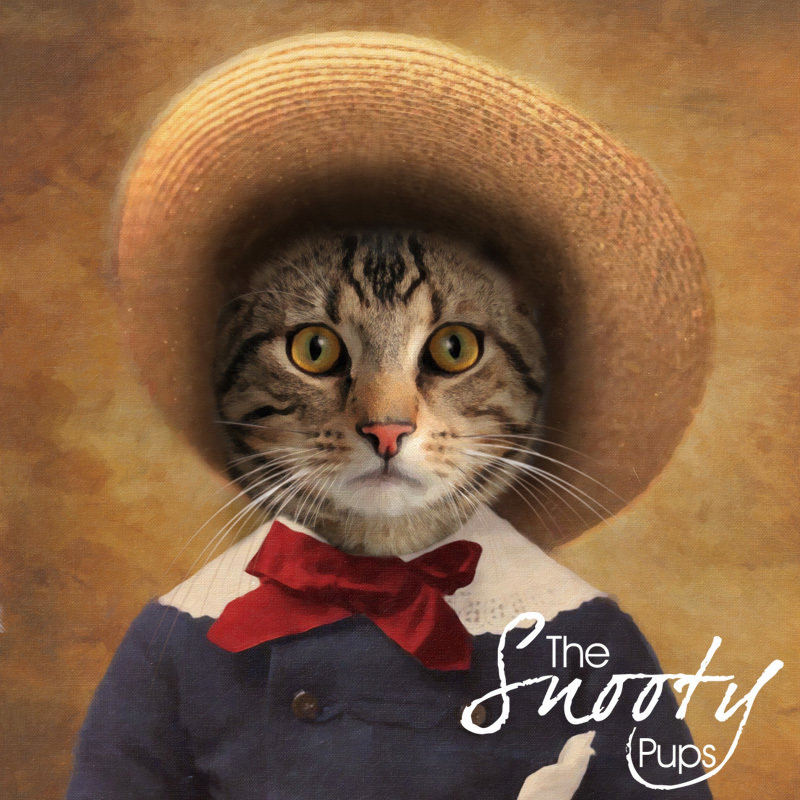 Peasant Boy Custom Cat Portrait 00071