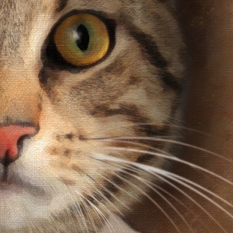 Cat Portrait Texture