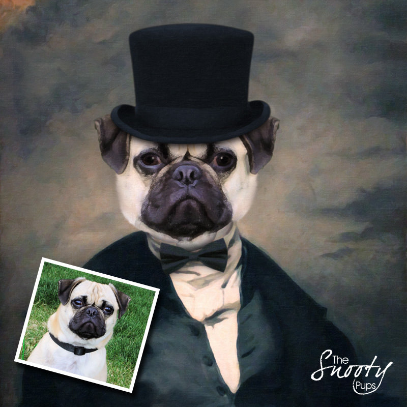 Mr Stogy Portrait Dog Portrait 00078