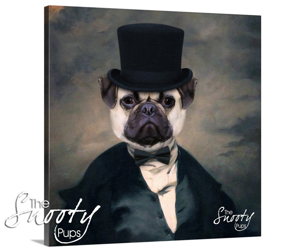 Dog Portrait