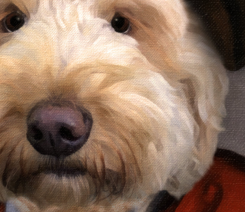 Dog Portrait