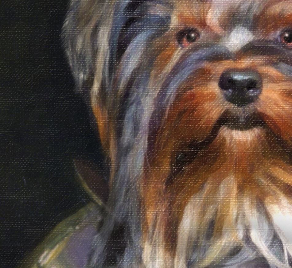 Dog Portrait