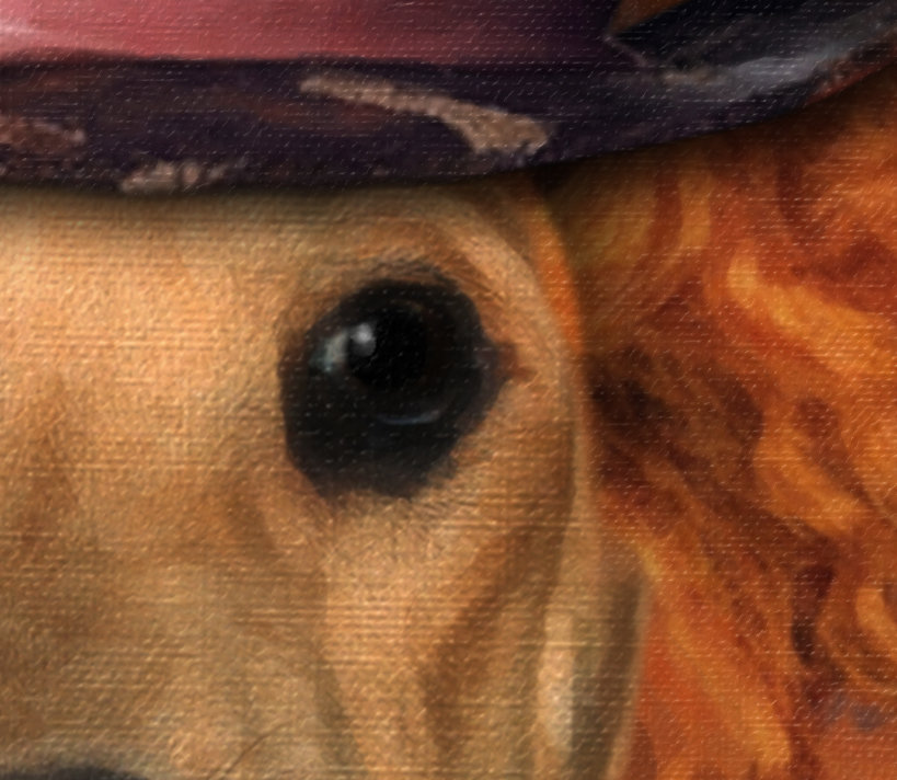 Dog Portrait