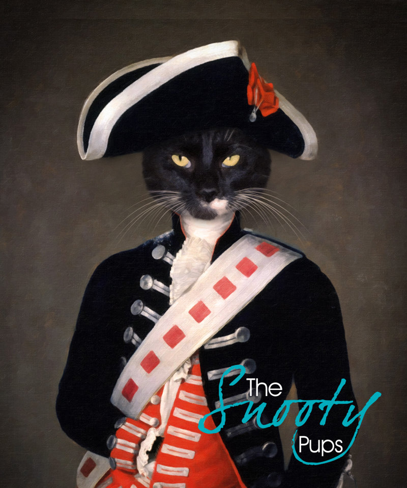 Soldier Custom Cat Portrait 00084