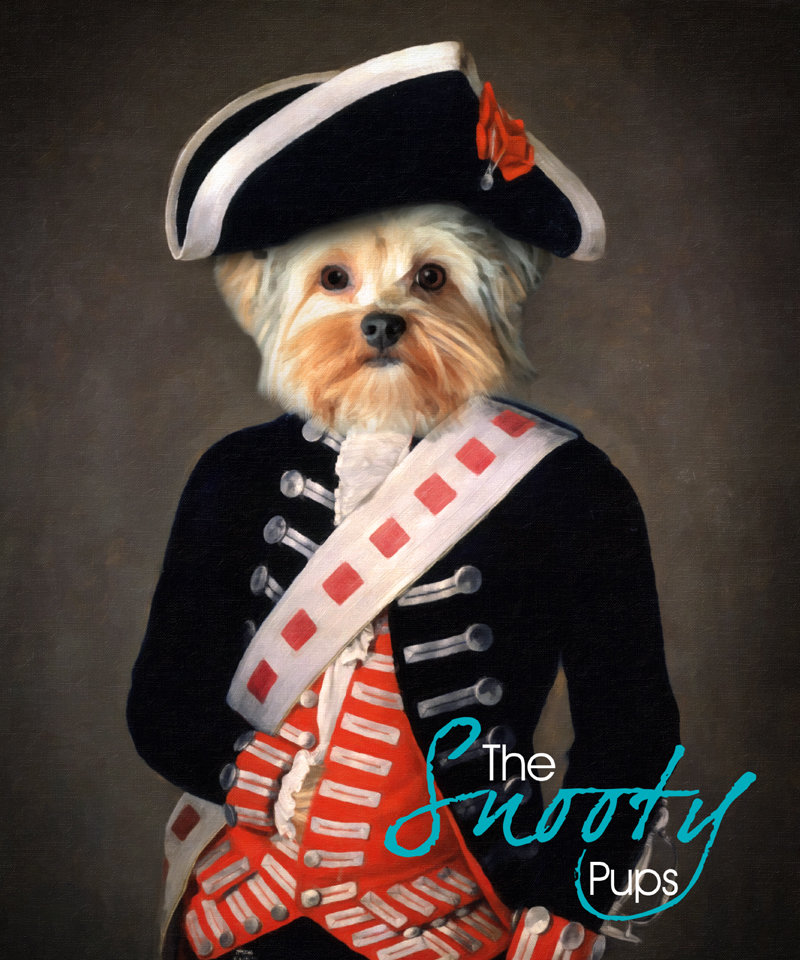 Soldier Custom Dog Portrait 00085